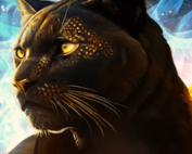 Prizepool sur Cresus Casino