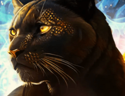 Découvrez la promotion Waz’Drop sur Cresus Casino